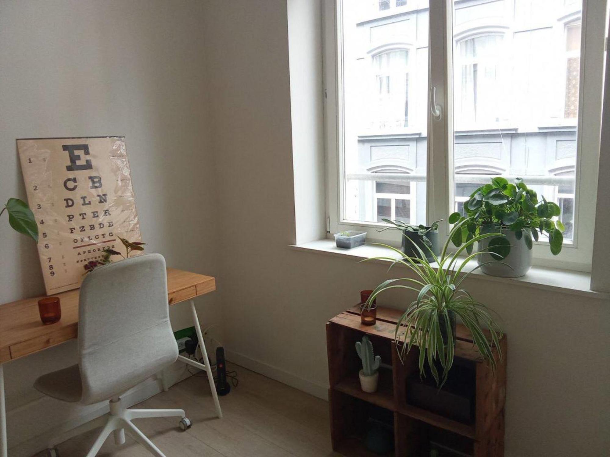 Beautiful Apart In Heartcity Brussel