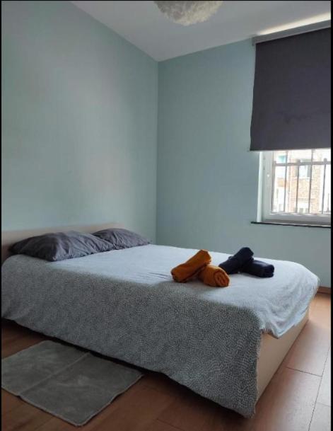 Confortable Lit Double Schaarbeek 1ere Etage Cle Normal Séjour chez l'habitant
