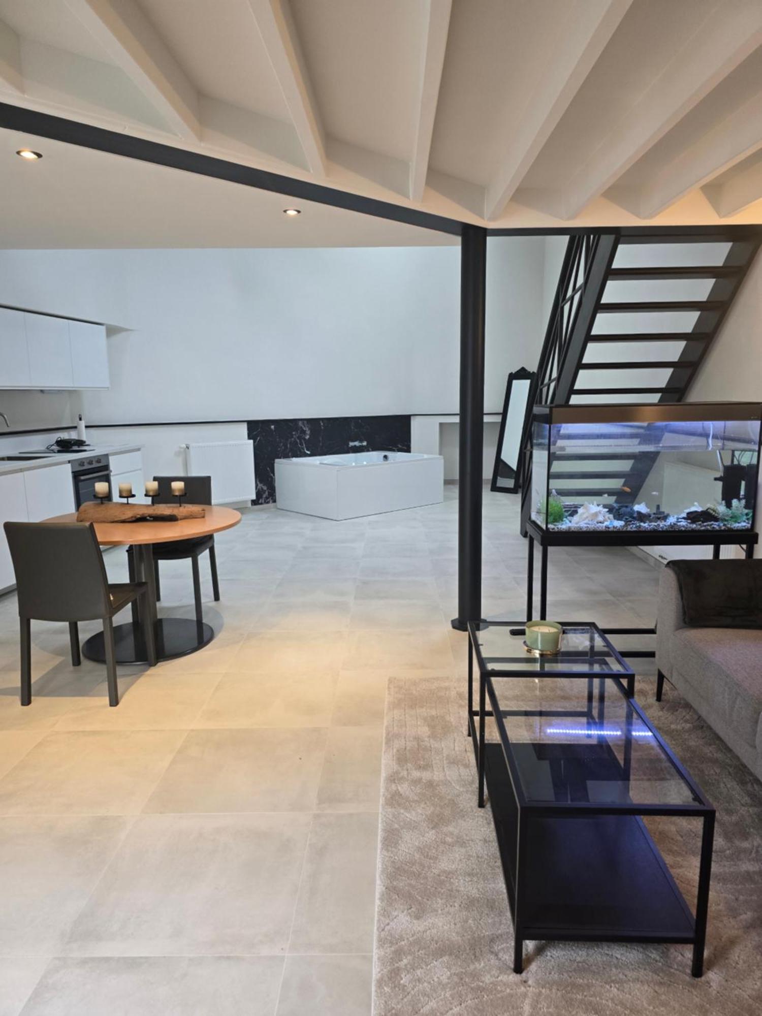 Aqua Loft - European Quarter Apartment Brüssel