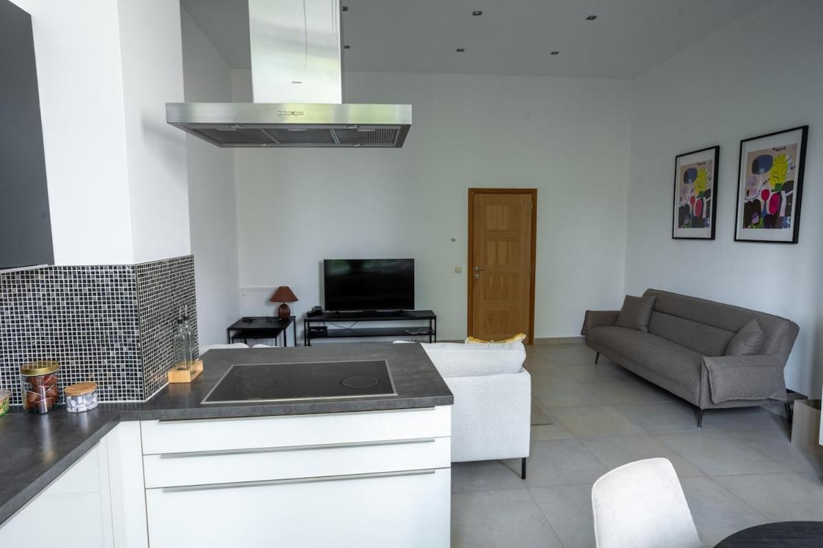 Cozy And Luxurious In Brussels, Laeken *