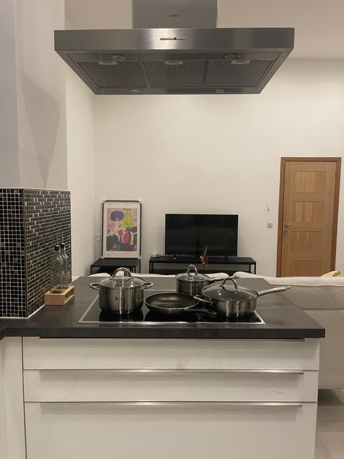 Appartement Cozy And Luxurious In Brussels, Laeken