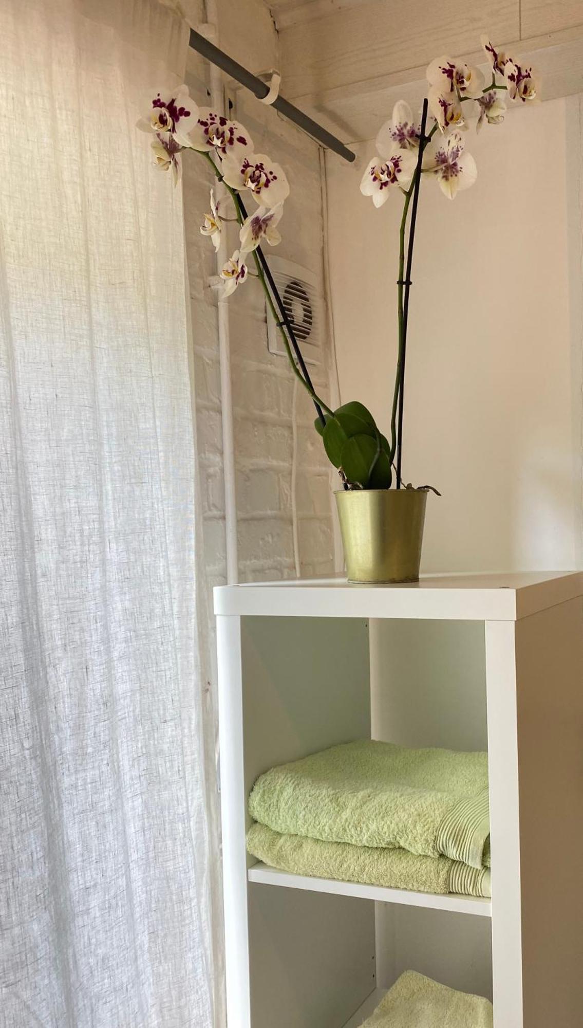 Apartment Chambre Chants D'oiseaux Brussels