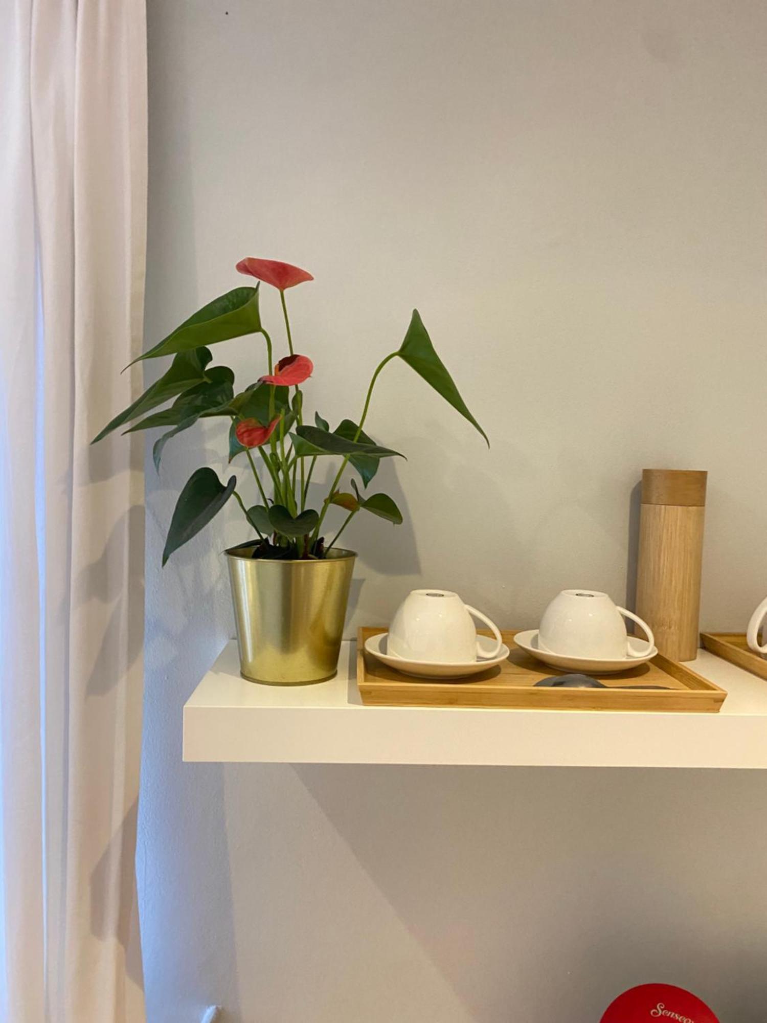 Apartment Chambre Chants D'oiseaux