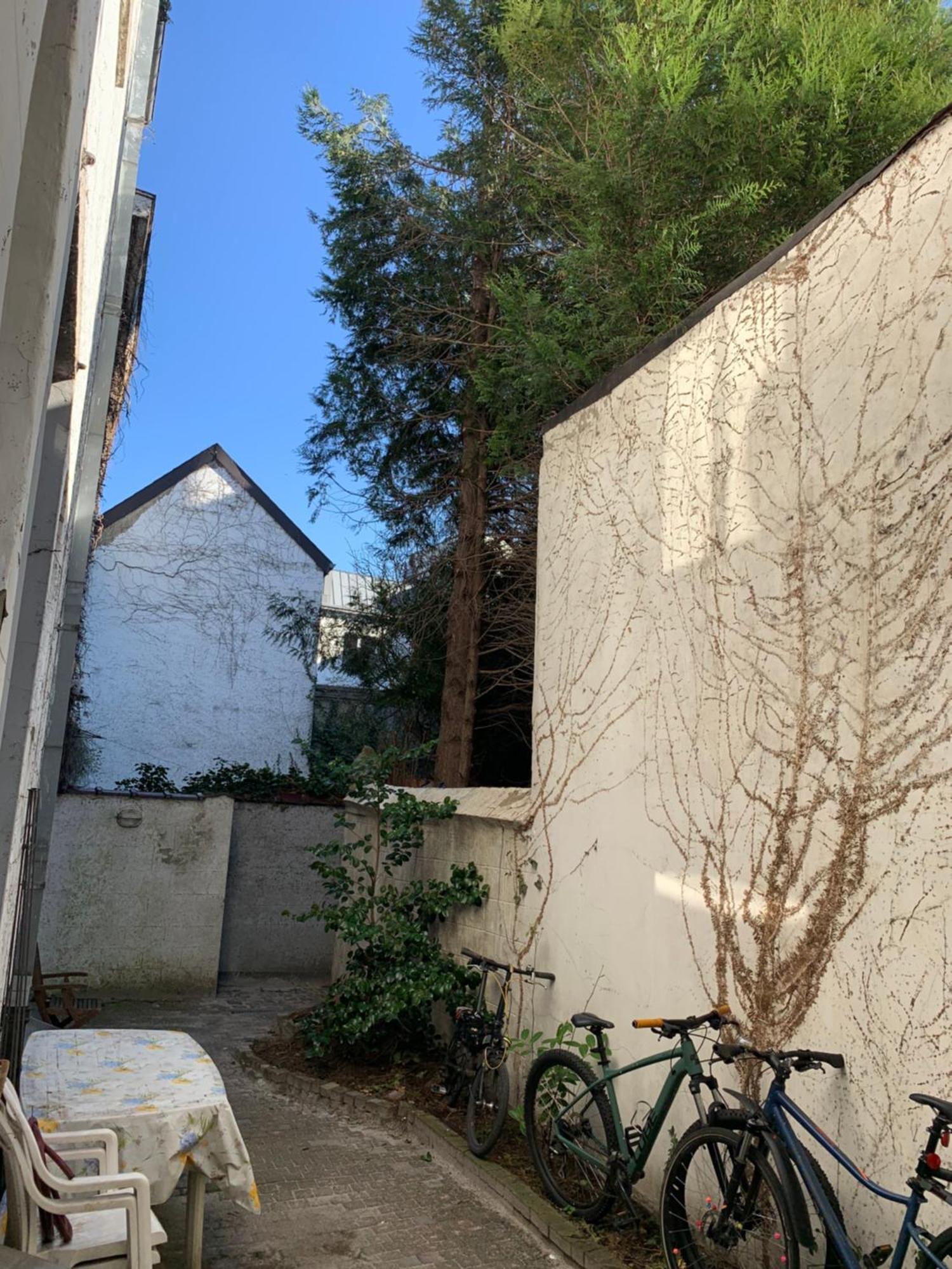 Charming In Brussels: Great Location For Renting *