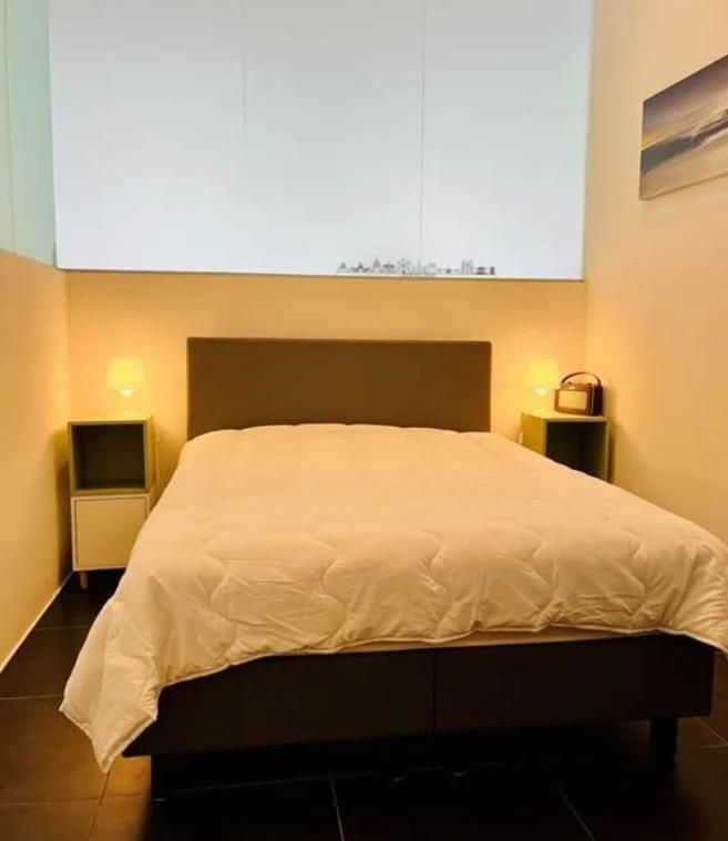 Dansaert Bright Loft Lejlighed