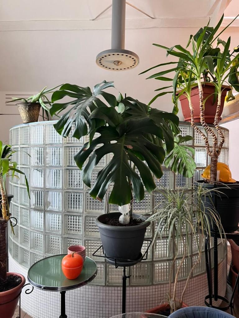 Le Loft Des Artistes *