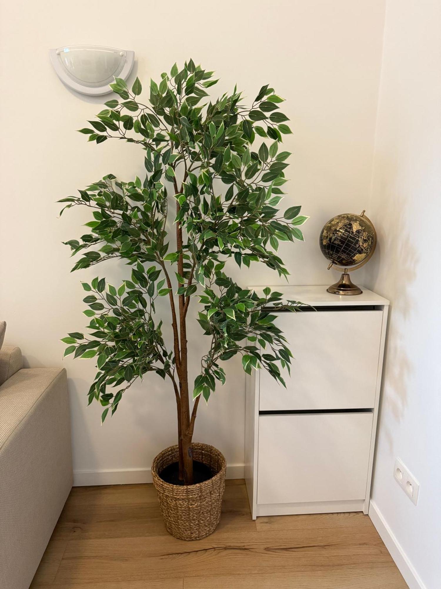 Cozy South-up Appartamento