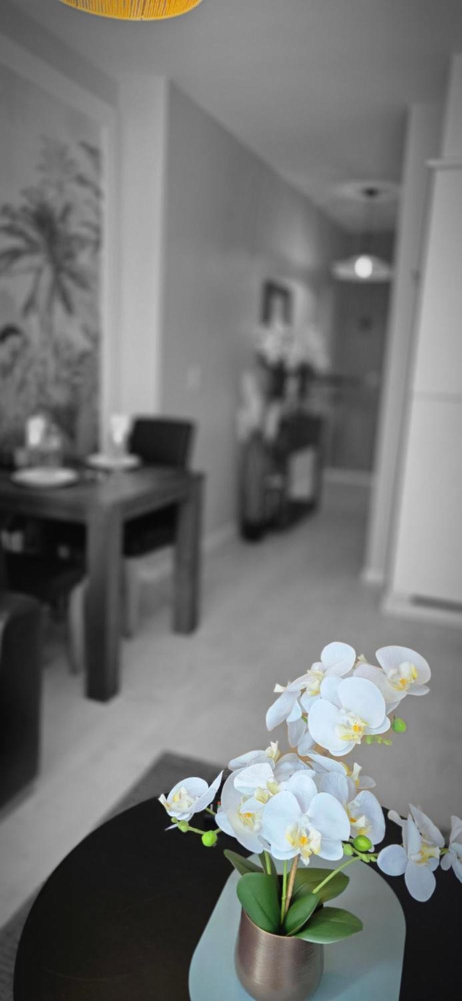 Cosy Appartement Bruxelles