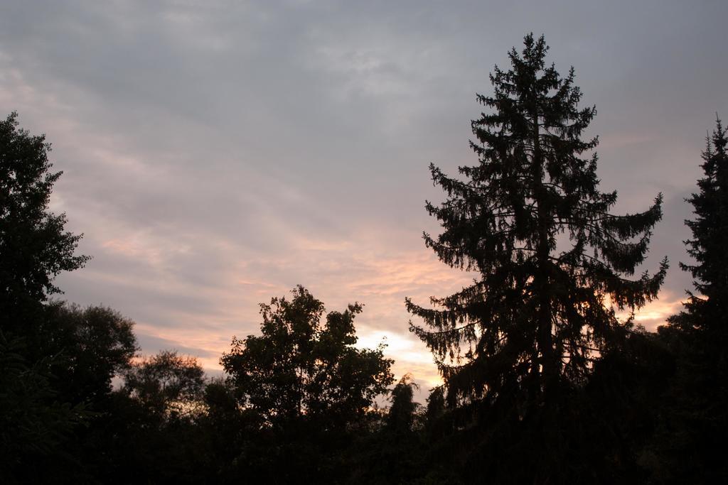 Bed & Breakfast Moensberg *