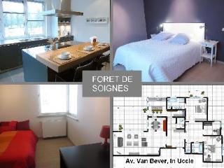 Ze Agency Bruxelles