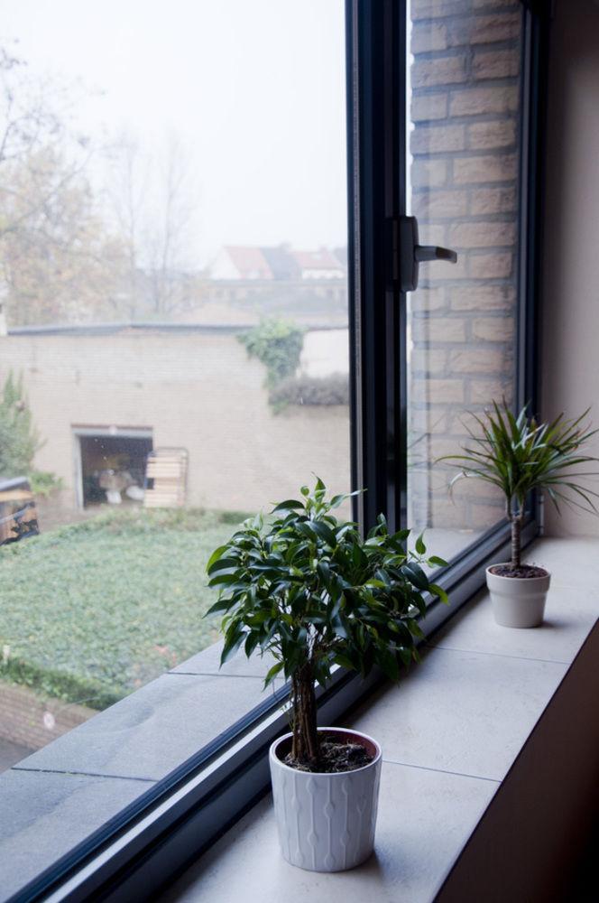 Gardens Appartement Brussel