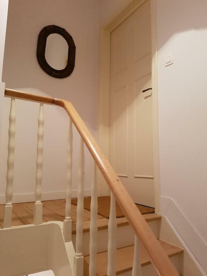 Dasos Kynthos Brüssel