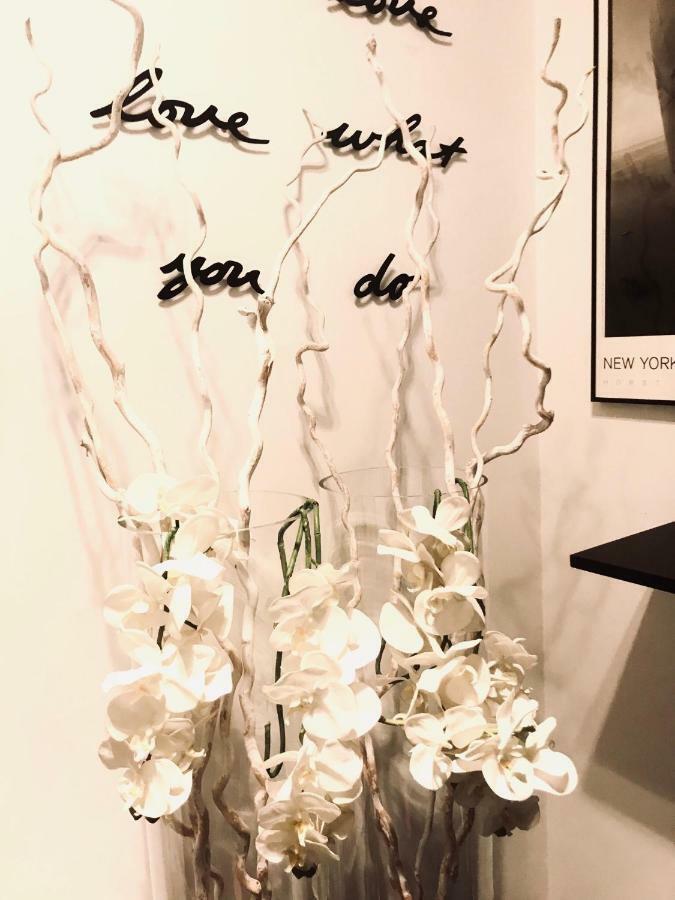 Les Lofts De Styliste *