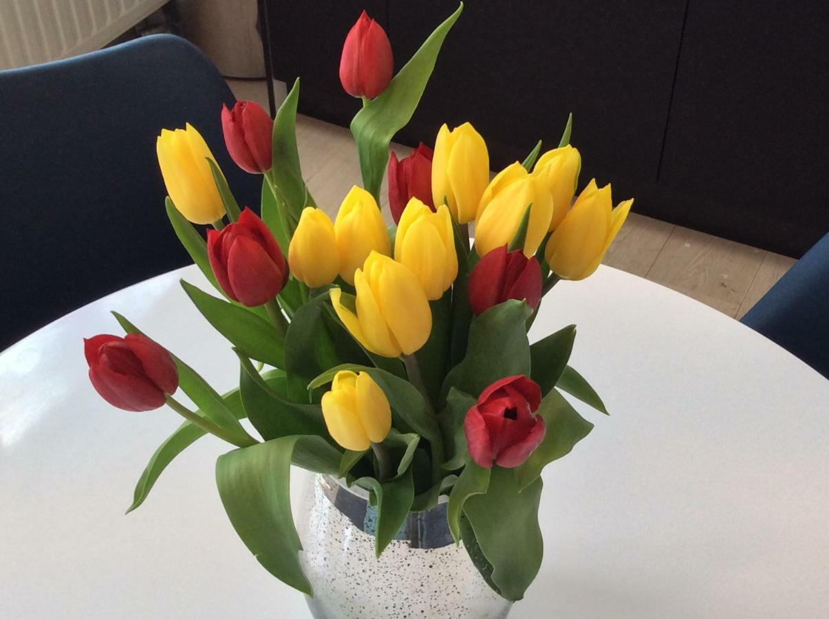 Happy House Appartement *