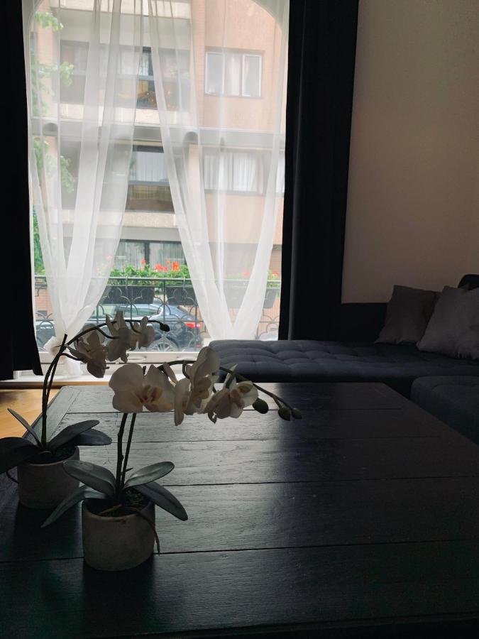 Chic Cocoon Gæstehus Bruxelles