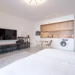 Mini Loft With Terrace