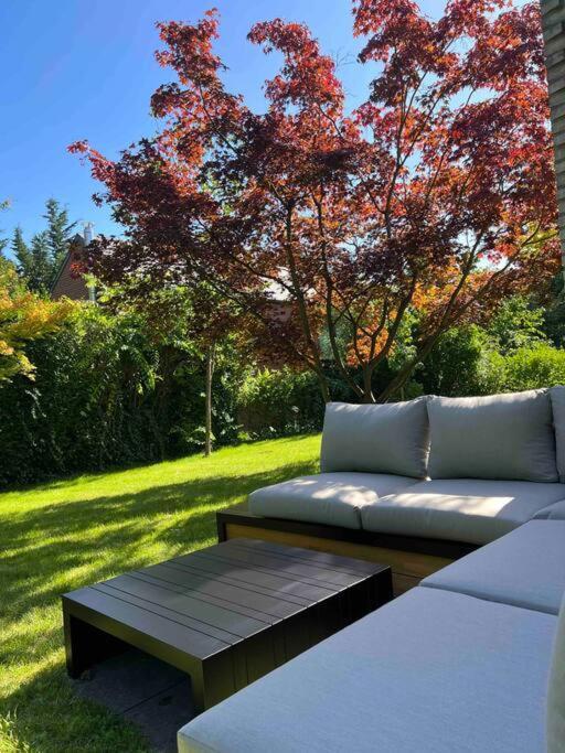 Havre De Paix A :piscine, Sauna, Jacuzzi Villa