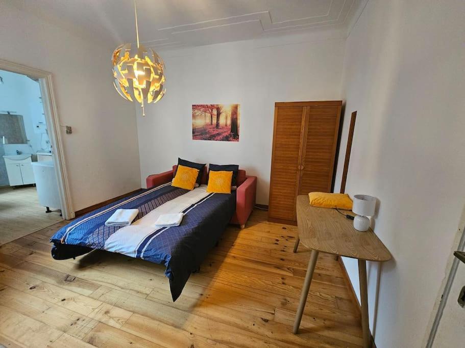 Espace Cosy Basilique *