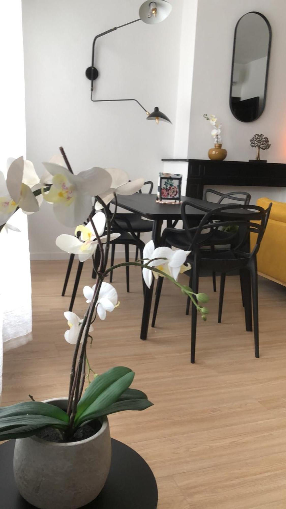 Appartement Absolute Charm 3 Bedroom 3 Bathroom With Ac Eu District