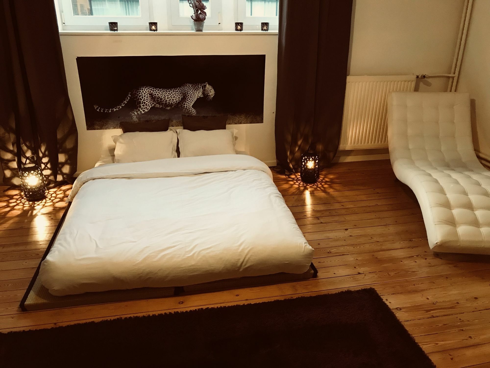 Chic Cocoon