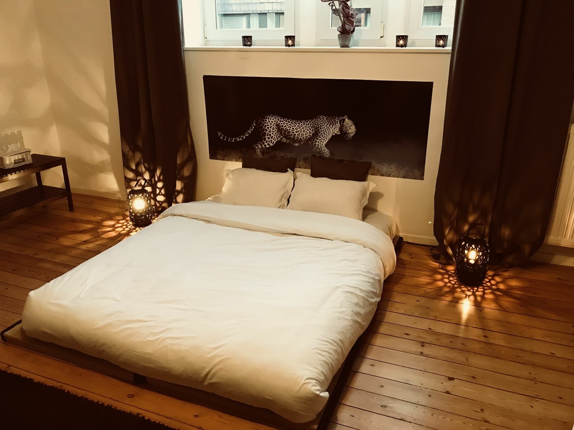 Chic Cocoon