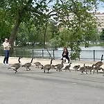 Le Flagey Green Place