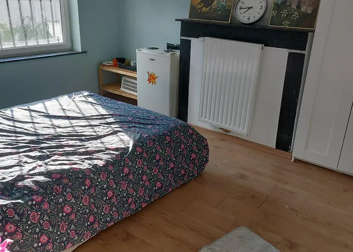 Chambre Confortable Avec Un Lit Double A Schaerbeek Cle Bleu