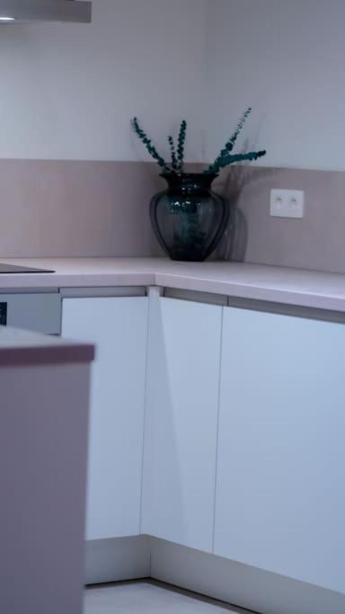 Luxury Luminous 2bedroom Center Of Bruxelles