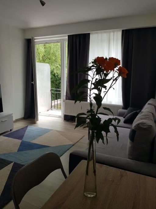 Studio Quartier Louise Calme Brüssel
