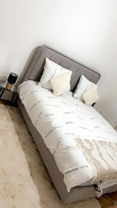 Apartment Centre - Ixelles - Avenue Louise - Chic Brussels
