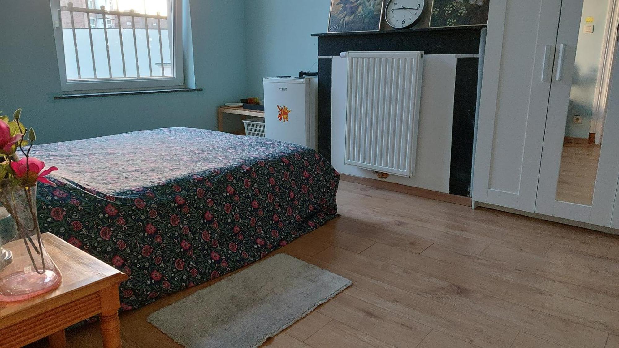 Alloggio in famiglia Confortable Avec Un Lit Double A Schaerbeek Cle Bleu *