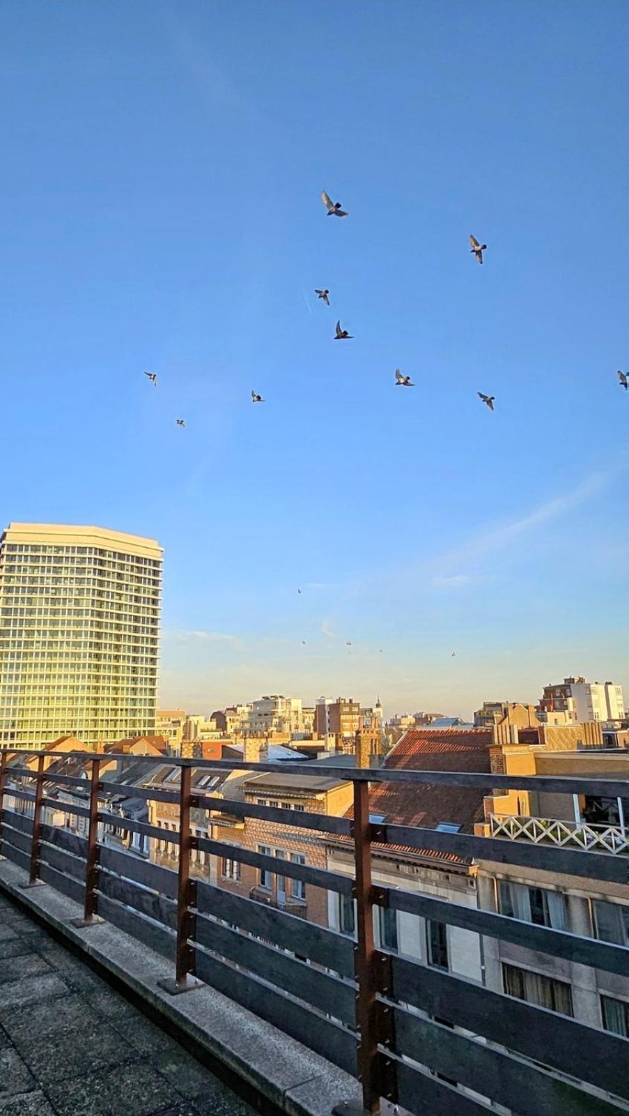Magnifique Avec Grande Terrasse Apartment