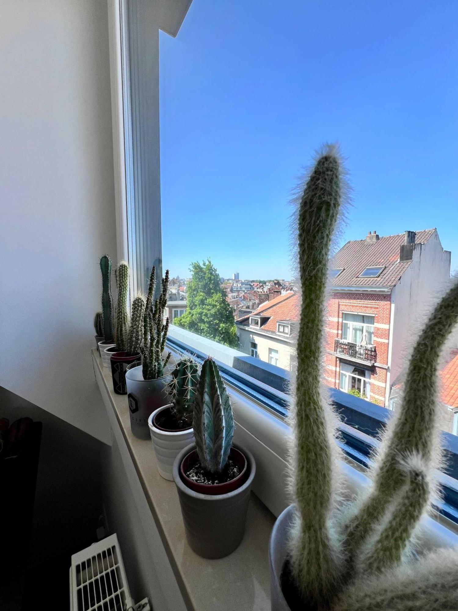 Modern Loft Near Eu Institutions Apartment